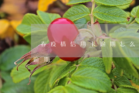 長春疫情信用卡逾期怎么辦（長春疫情信用卡逾期）