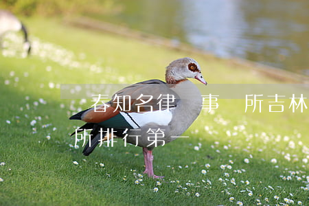 長春知名律師事務所(吉林省長春市律師事務所排行第一)