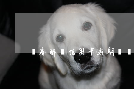 長春解決信用卡逾期(長時間信用卡逾期)