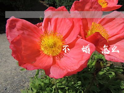 長時間不離婚會怎么樣
