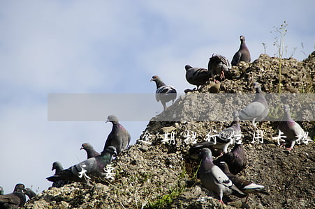 長時間逾期招行信用卡 招商的信用卡逾期一天要緊嗎