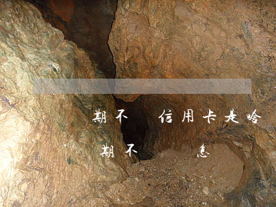 長期不還信用卡是啥結(jié)果(信用卡長期不還會怎樣)