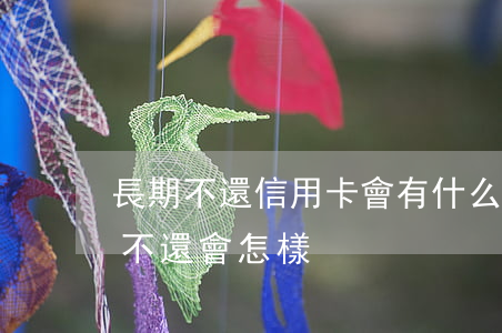 長期不還信用卡會有什么后果(欠信用卡一直不還會怎樣)
