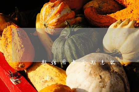 長期信用卡逾期怎么還(長期信用卡逾期怎么還清)