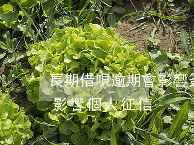 長期借唄逾期會影響簽證嗎(借唄逾期幾天會影響個人征信)