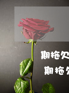 長期拖欠銀行貸款2萬十幾年有什么后果-長期拖欠銀行貸款2萬十幾年有什么后果嗎