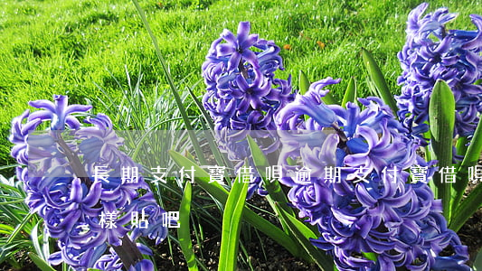 長期支付寶借唄逾期(支付寶借唄逾期會怎么樣貼吧)