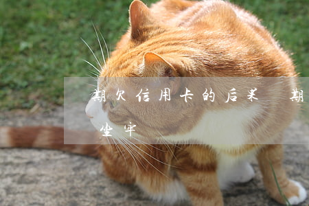 長期欠信用卡的后果(長期還不上信用卡會不會坐牢)