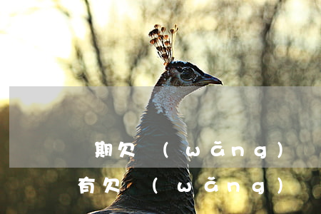 長期欠網(wǎng)貸十幾萬沒錢還(有沒有欠網(wǎng)貸幾十萬的)