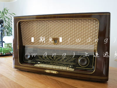 長期欠網(wǎng)貸會不會被列為網(wǎng)上追逃(欠網(wǎng)貸可以跑路嗎)
