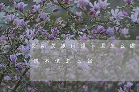 長期欠銀行錢不還怎么處理(如果一直欠銀行錢不還怎么辦)