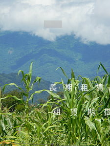 長期租賃的土地法院可以執(zhí)行嗎(租賃期間法院能否執(zhí)行)