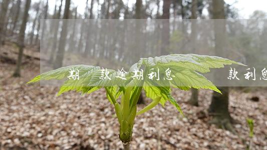 長期貸款逾期利息類別(貸款利息多久算逾期嗎)