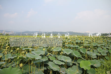 長沙住房合同糾紛找哪個(gè)部門