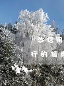 長沙信用卡超還款日多少天算逾期-長沙銀行的信用卡還款日是幾號