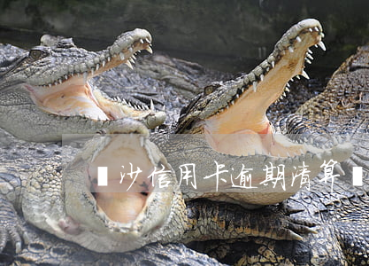 長沙信用卡逾期清算（長沙信用卡逾期清算）