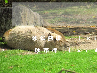 長沙公益律師協(xié)調(diào)(長沙市律協(xié)會長)