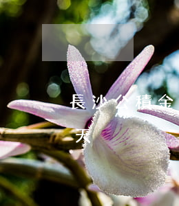 長沙公積金逾期還款5天(公積金還款逾期兩天)
