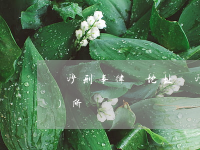 長沙刑事律師地址(長沙刑事律師事務(wù)所電話)