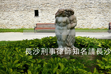 長沙刑事律師知名(請長沙知名刑事律師)