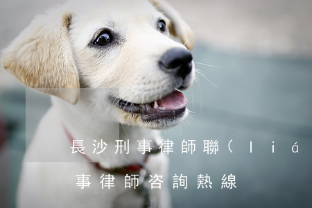 長沙刑事律師聯(lián)系方式(長沙刑事律師咨詢熱線)