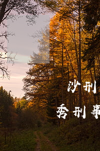 長沙刑事辯護律師事務所(長沙優(yōu)秀刑事辯護律師)