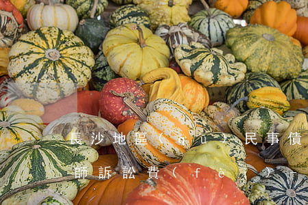 長沙地區(qū)民事債務(wù)糾紛律師訴訟費(fèi)-長沙地區(qū)民事債務(wù)糾紛律師訴訟費(fèi)多少