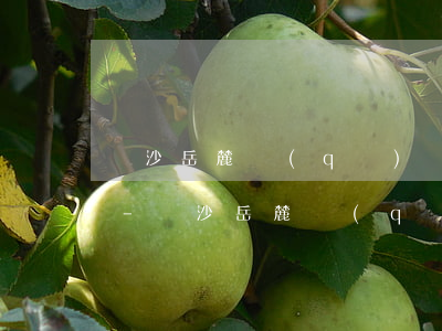 長沙岳麓區(qū)債務追討律師電話咨詢-長沙岳麓區(qū)債務追討律師電話咨詢熱線