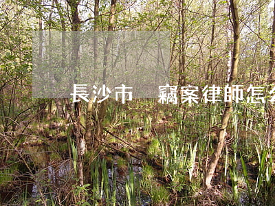 長沙市盜竊案律師怎么聘請(長沙找律師)