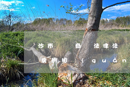 長沙市購買商鋪法律法規(guī)(長沙購房的相關(guān)法律法規(guī)有哪些)
