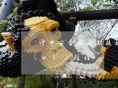 長沙平安金服逾期提醒短信-平安金融服務(wù)短信
