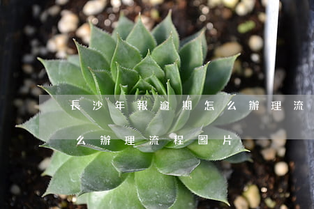 長沙年報逾期怎么辦理流程(長沙年報逾期怎么辦理流程圖片)