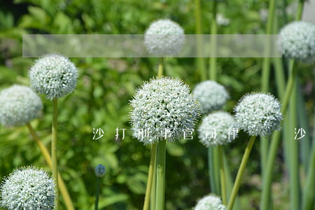 長沙打刑事官司律師(長沙刑事訴訟大律師)