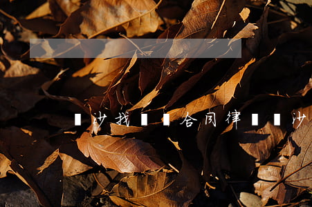 長沙找債務合同律師(長沙找債務合同律師)