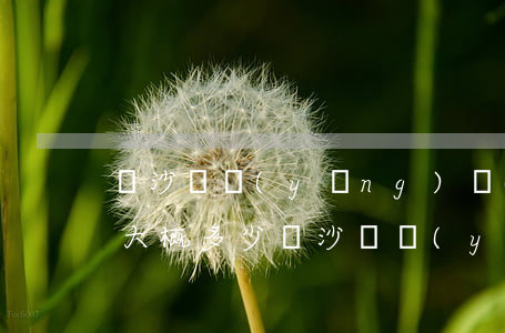 長沙撫養(yǎng)費(fèi)每個月大概多少(長沙撫養(yǎng)費(fèi)標(biāo)準(zhǔn)是多少錢)