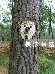 長沙有法律援助中心嗎(長沙市法律援助中心)