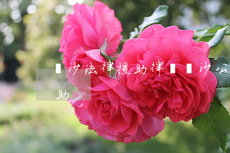 長沙法律援助律師(長沙公益律師免費法律援助)