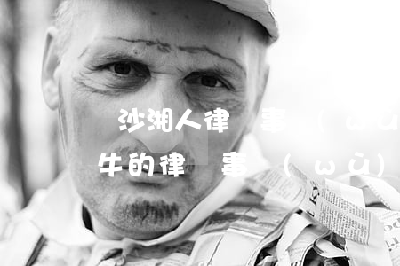 長沙湘人律師事務(wù)所靠譜嗎(長沙最牛的律師事務(wù)所)