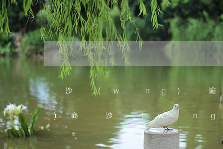 長沙網(wǎng)貸逾期法務協(xié)商(長沙網(wǎng)貸逾期法務協(xié)商)