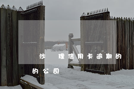 長沙處理信用卡逾期的(長沙處理信用卡逾期的公司)