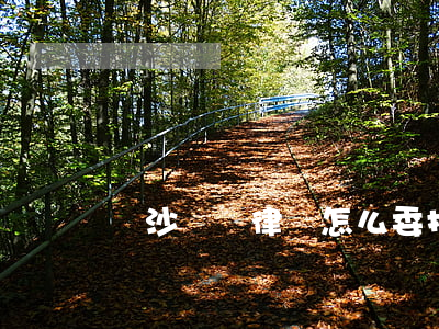 長沙訴訟律師怎么委托(長沙刑事訴訟大律師)