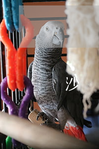 長沙醫(yī)患糾紛律師(長沙醫(yī)療糾紛調(diào)解中心)