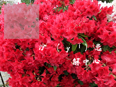 長沙醫(yī)患糾紛律師(長沙醫(yī)療糾紛調解中心)