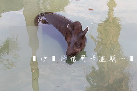 長沙銀行信用卡逾期一兩天(信用卡逾期兩天)
