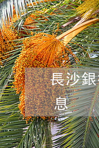長沙銀行信用卡逾期罰息(信用卡逾期怎么罰息)