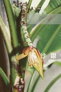 長沙銀行信用卡逾期被凍結(jié)