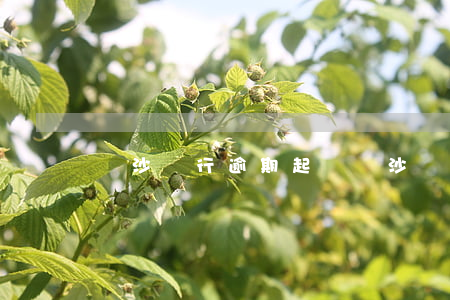 長沙銀行逾期起訴 長沙銀行最新消息