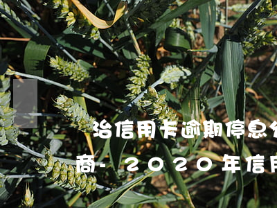 長治信用卡逾期停息分期怎么協(xié)商-2020年信用卡停息掛賬分期辦理