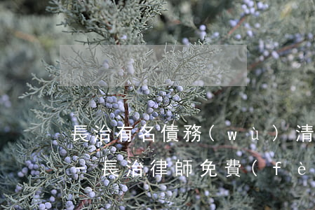 長治有名債務(wù)清償律師顧問哪個好-長治律師免費(fèi)咨詢電話