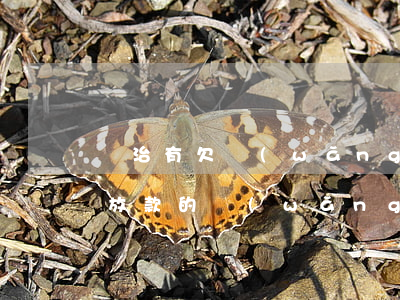 長治有欠網(wǎng)貸的人么(長治銀行放款的網(wǎng)貸)